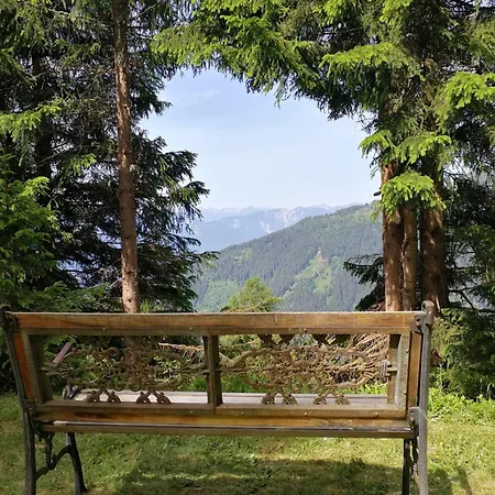 Almhuette Enzian Hébergement de vacances *